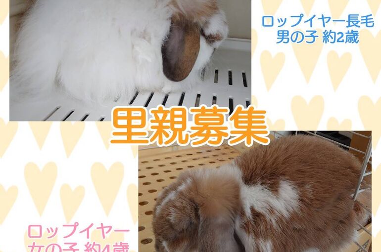 23020DAB-51FD-4957-94AA-A8369DB49841