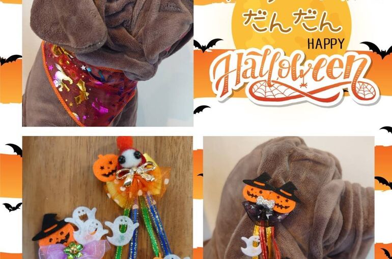 ハロウィン　10月　